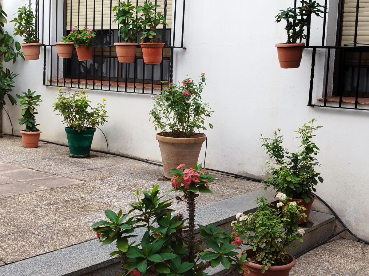 El Balcon De San Pablo Apartment Cordoba Exterior photo